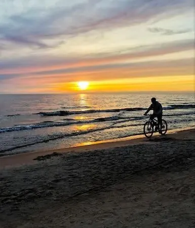 Studija V60 Palanga