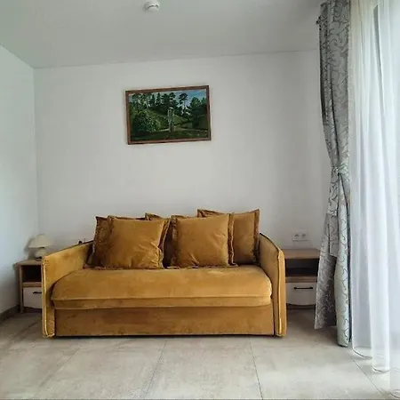 Apartment Studija V60 *