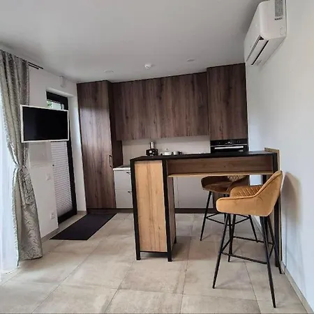 Studija V60 Palanga